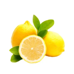 lemon test